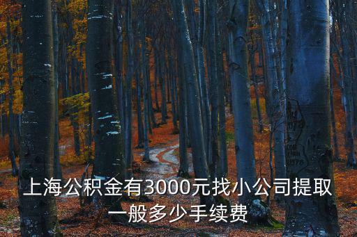 上海公積金提取代辦收費(fèi)，上海公積金提取40000費(fèi)用要多少