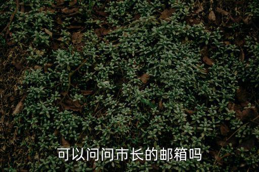 可以問問市長的郵箱嗎