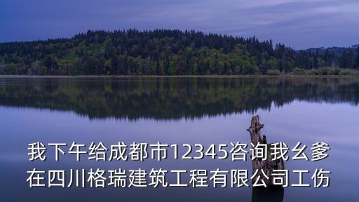 我下午給成都市12345咨詢我幺爹在四川格瑞建筑工程有限公司工傷