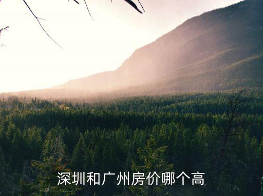 深圳廣州哪個房價貴一些，深圳房價最貴有廣州珠江新城貴嗎