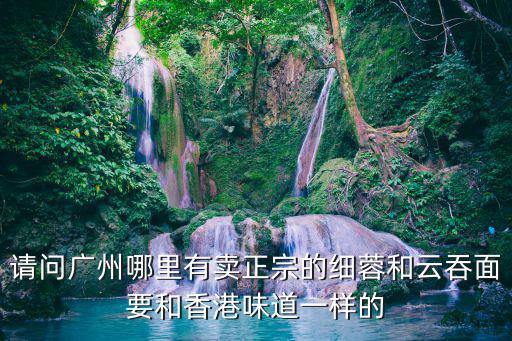 請問廣州哪里有賣正宗的細蓉和云吞面要和香港味道一樣的