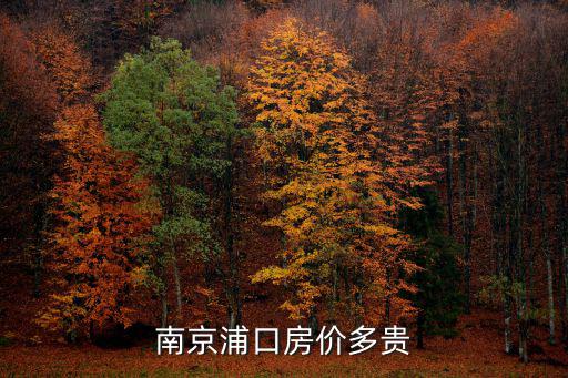 南京浦口房價多貴