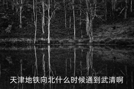 天津地鐵向北什么時候通到武清啊