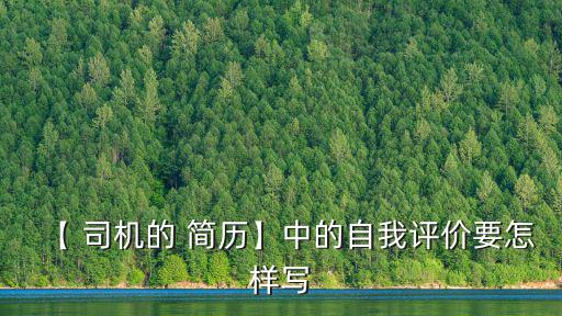 【 司機的 簡歷】中的自我評價要怎樣寫