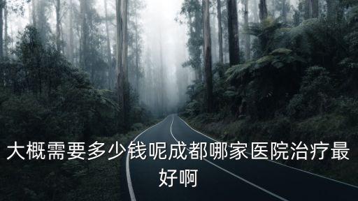 大概需要多少錢呢成都哪家醫院治療最好啊