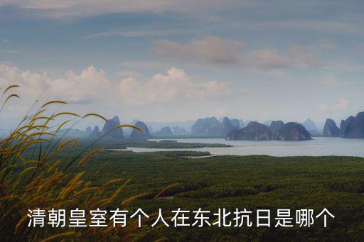 趙侗,抗日風云:趙洪文國率隊逃回山西被殲滅
