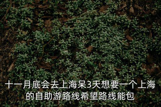 十一月底會去上海呆3天想要一個上海的自助游路線希望路線能包