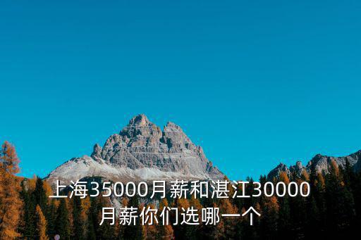 湛江市和上海市的對比差異，湛江和上海比在哪個城市發(fā)展好些