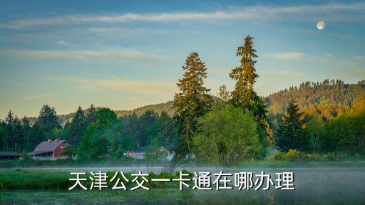 天津公交一卡通在哪辦理