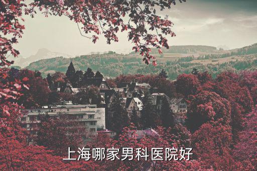 上海哪家男科醫院好