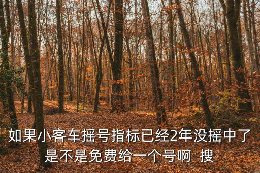 如果小客車搖號指標已經2年沒搖中了是不是免費給一個號啊  搜