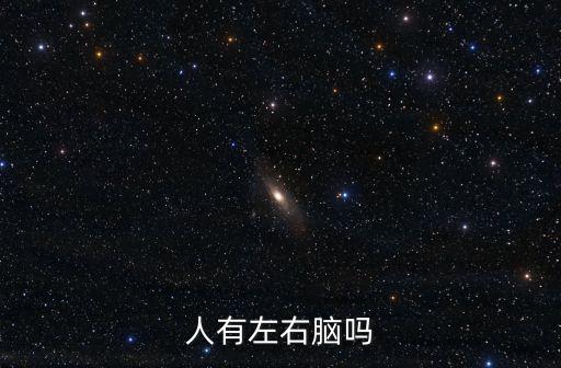 左右腦,左右腦形狀差異主要功能有哪些?