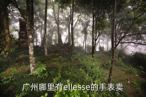 廣州哪里有ellesse的手表賣