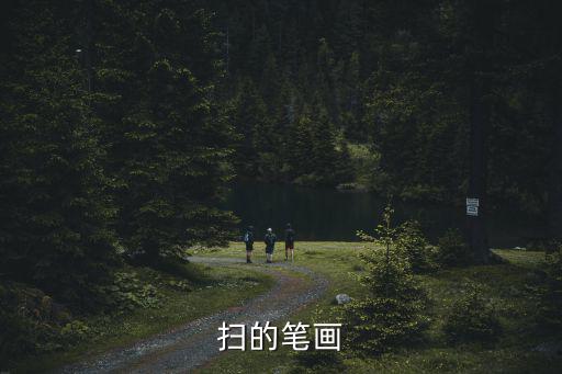 掃的筆畫