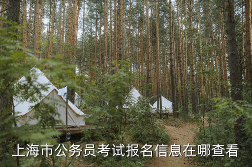 上海市公務員考試報名信息在哪查看