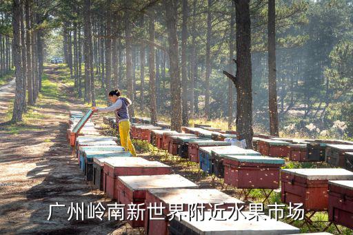廣州嶺南新世界附近水果市場