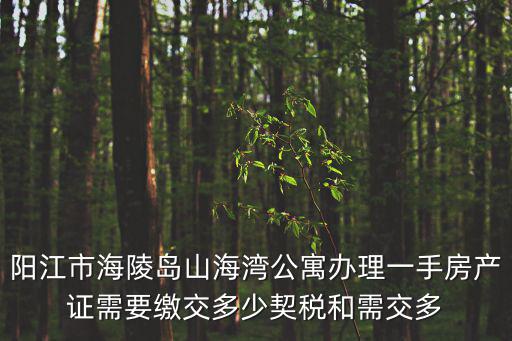 陽江市海陵島山海灣公寓辦理一手房產(chǎn)證需要繳交多少契稅和需交多
