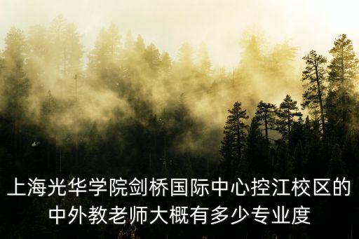 上海光華學院劍橋國際中心控江校區的中外教老師大概有多少專業度