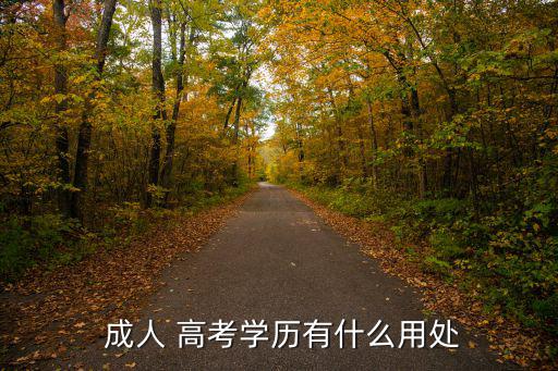  成人 高考學(xué)歷有什么用處