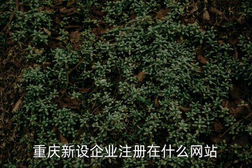 重慶新設企業(yè)注冊在什么網站