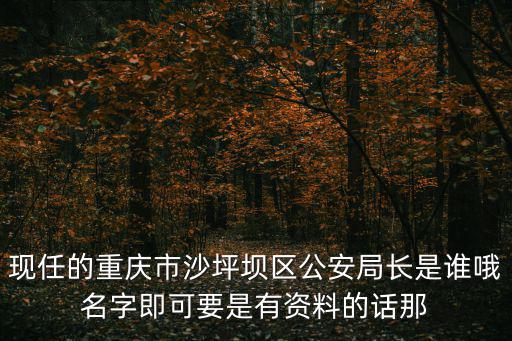 現任的重慶市沙坪壩區公安局長是誰哦名字即可要是有資料的話那