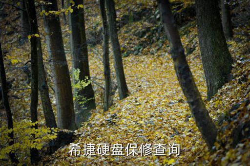 希捷保修查詢，希捷硬盤保修查詢