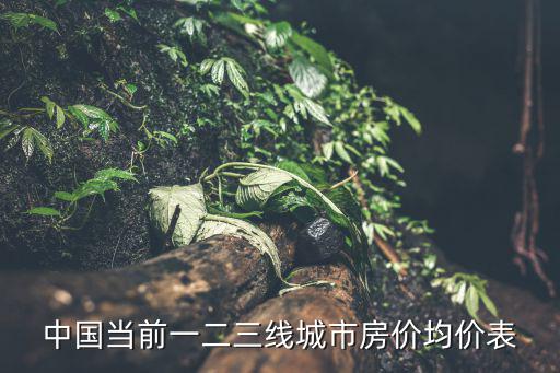 中國當前一二三線城市房價均價表