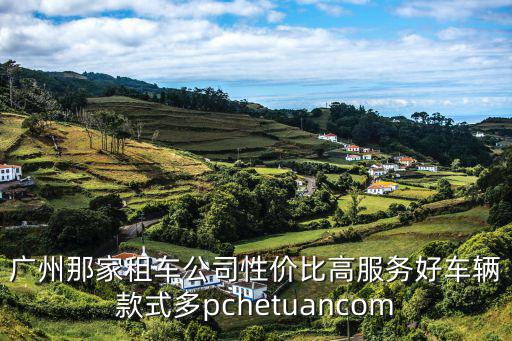 廣州那家租車公司性價比高服務好車輛款式多pchetuancom