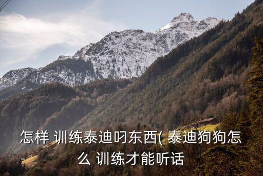 怎樣 訓練泰迪叼東西( 泰迪狗狗怎么 訓練才能聽話
