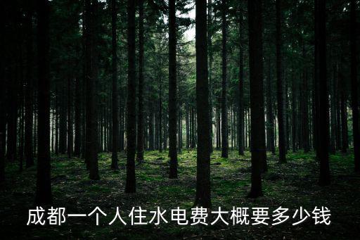 成都一個人住水電費大概要多少錢