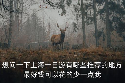 上海適合一天游玩的地方，想問一下上海一日游有哪些推薦的地方最好錢可以花的少一點我
