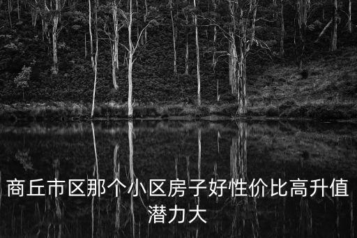 商丘市區那個小區房子好性價比高升值潛力大