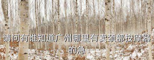 請問有誰知道廣州哪里有賣頸部按摩器的急