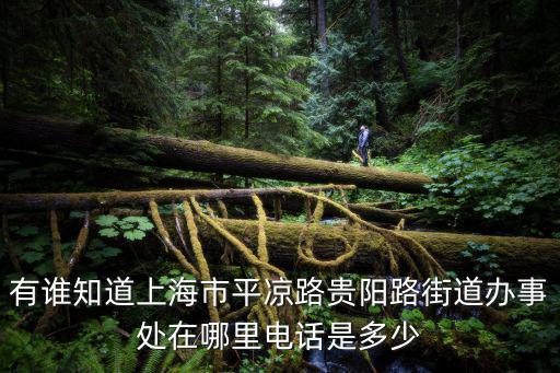 有誰知道上海市平涼路貴陽路街道辦事處在哪里電話是多少