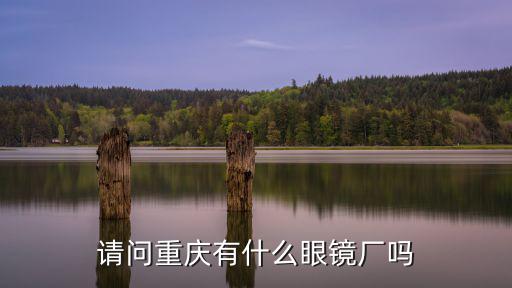 請問重慶有什么眼鏡廠嗎