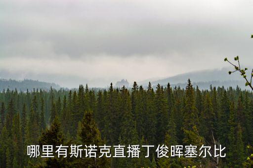 哪里有斯諾克直播丁俊暉塞爾比