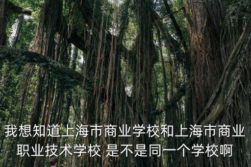 我想知道上海市商業學校和上海市商業職業技術學校 是不是同一個學校啊