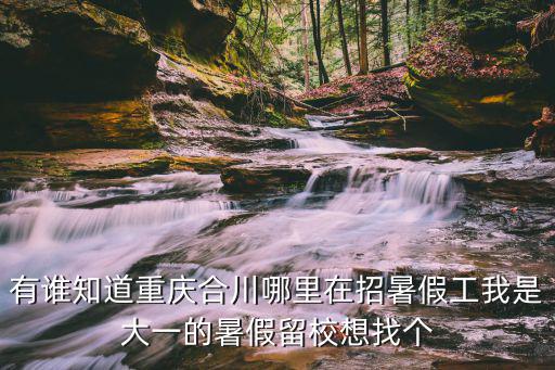 有誰知道重慶合川哪里在招暑假工我是大一的暑假留校想找個