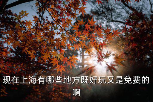 現在上海有哪些地方既好玩又是免費的啊