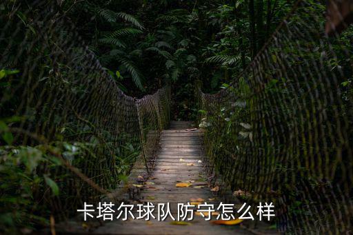 卡塔爾球隊(duì)，卡塔爾世界杯多少球隊(duì)