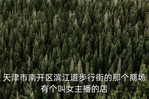 天津市南開區(qū)濱江道步行街的那個商場有個叫女主播的店