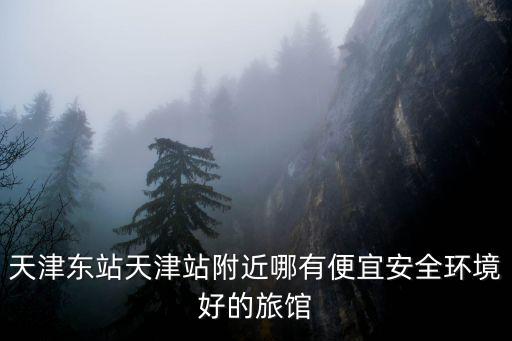天津東站天津站附近哪有便宜安全環(huán)境好的旅館