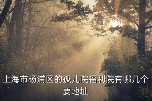 上海市楊浦區(qū)殘疾人養(yǎng)護(hù)，上海市楊浦區(qū)殘疾人聯(lián)合會(huì)地址在那兒