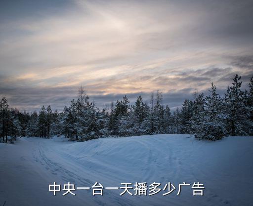 中央一臺一天播多少廣告