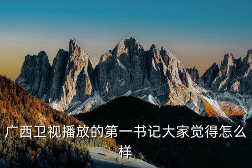 廣西衛視播放的第一書記大家覺得怎么樣