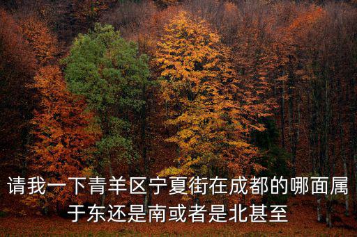 請我一下青羊區寧夏街在成都的哪面屬于東還是南或者是北甚至