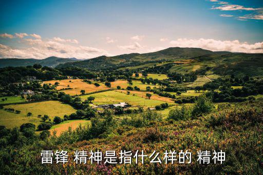  雷鋒 精神是指什么樣的 精神