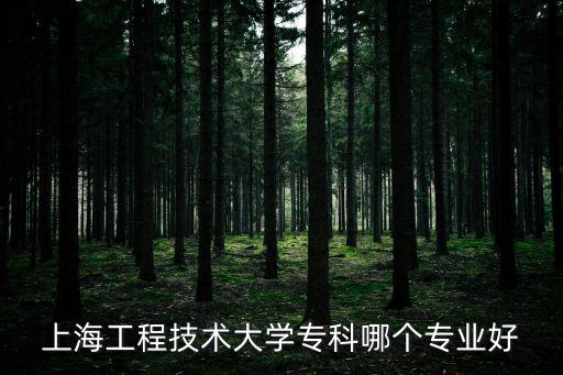 上海工程技術大學專科哪個專業好