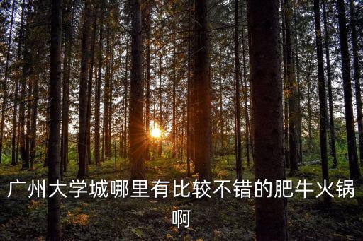 潮汕大目牛肉火鍋城廣州，廣州海珠區(qū)粵潮牛肉火鍋店江南大道店怎么價位