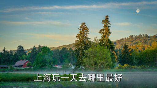 上海玩一天去哪里最好